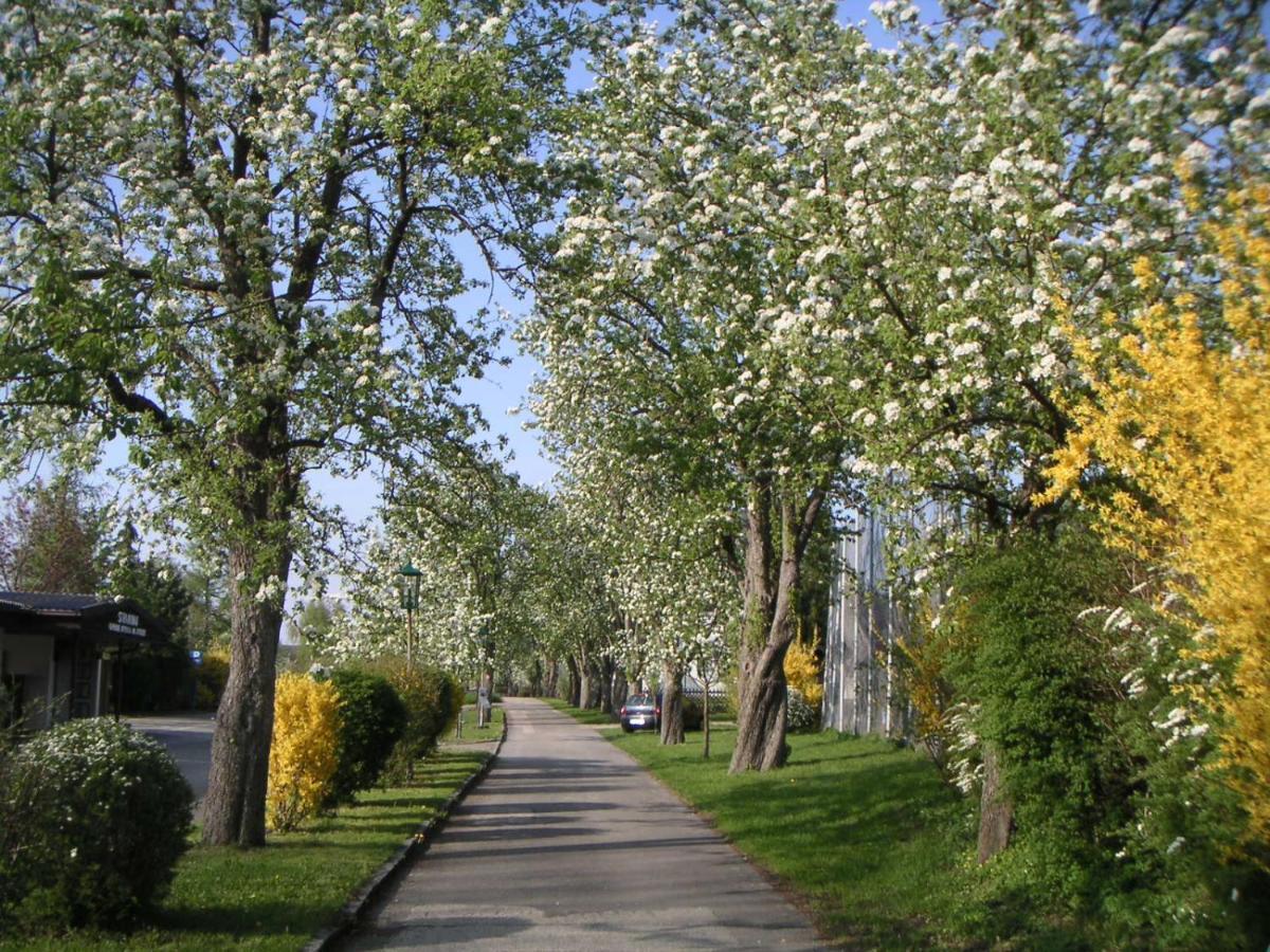 Apartmán Ferien-Garconniere Hemetsberger Weyregg Exteriér fotografie